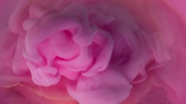 Boya sisi. Duman dökülüyor. Şeftali rengi gül yapraklarını kaplayan parlak pembe bir sprey. Renk odaklı olmayan sıvı soyut arkaplan.