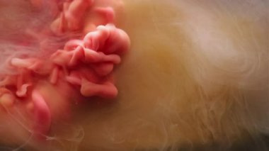 Buhar yüzüyor. Toz dokusu. Suyun içindeki pembemsi sarı sıçrama boyası soyut sanatının yaratıcı arka planında ilerliyor..