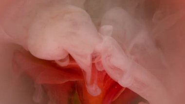 Sis boyası. Sanat doğası. Gül yaprağına bembeyaz şeftali turuncu duman mürekkebi döküldü. Doğa çiçeği soyut bulanık su arkaplanını karıştır.