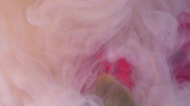 Sis dalgası. Işıldayan buhar. Bulanık karanfilin üzerine beyaz şeftali pembesi boya karışımı. Sıvı çiçekleri soyut su arka plan sanatı doğası.