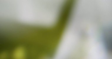 Gökkuşağı dokusu. Görüntü pırıltısı. Odaklanmamış yeşil renkli yanıp sönen lens ışığı soyut sanat eseri beyaz sütlü arka planda parıldıyor.