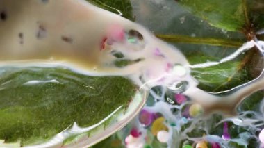 Boya dökülüyor. Buzlu doku. Sıvı parlayan konfeti donmuş yapraklar arasında yayılır. Buz saçakları üzerinde renk sanatı karışımı dalgaları boya.