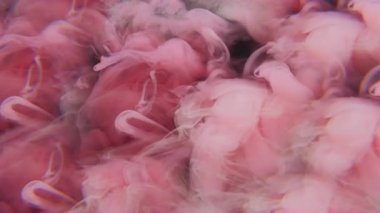 Bulut dalgası. Boya karışımı. Odaklanmamış pembe renkli su mürekkebi dokusu soyut koyu siyah sanat arka planında yüzen kimyasal buhar sıvısı..