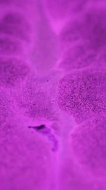 Dikey video. Sıvı sim sanatı. Parlak damlalar. Odaklanmamış neon pembe renk pırıl pırıl akrilik karışım yağ sızıntısı soyut arkaplan.