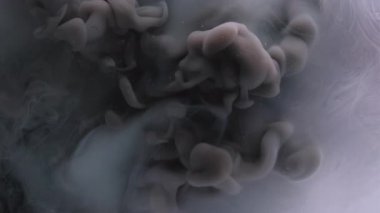 Duman boyası. Fış sanatı. Odaklanmamış sisli duman mor patlama sıvıdaki sıvı mürekkep dokusu soyut koyu siyah arkaplan üzerinde yüzüyor..