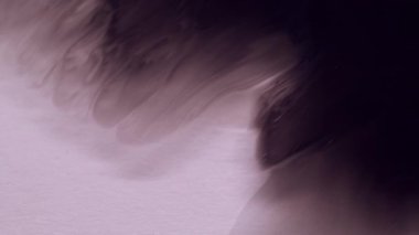 Mürekkep akışı. Grunge sıvısı. Pürüzsüz siyah suluboya, ıslak beyaz kağıda dökülmüş. Kirlilik, odaklanmış olmayan soyut arkaplanı açığa çıkarıyor.