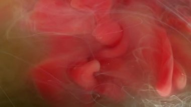 Sis akışı. Boya sisi. Bej kahverengi bulanık mistik sıvıda yüzen kırmızı su altı mürekkebi akıntısı. Sanat dokusu soyut renk sıvı arkaplanı.