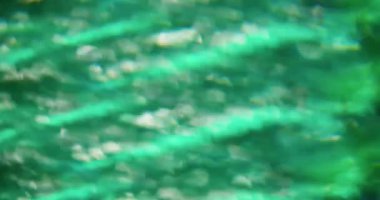 Bokeh sanatı. Bulanık, parlak. Beyaz yeşil renkli mercek, mavi, parlak, soyut, modern, ışıltılı arka planda yanıp sönüyor..