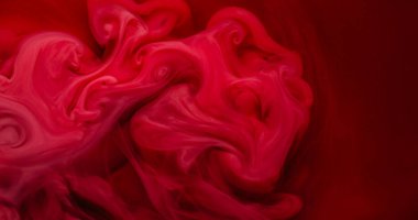 Renkli su. Boya akışı. Bulanık kırmızı, kırmızı, kırmızı, akrilik, pırıl pırıl sisli, soyut arka planda dalgalanan sisli sıvı..