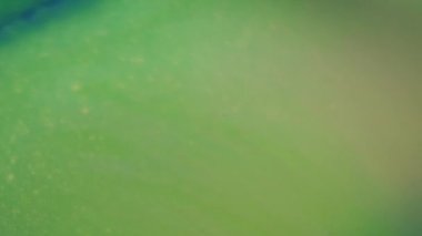 Islak doku. Akrilik dalga. Odaklanmamış mavi mor renkli kimyasal parçacıklar soyut arkaplana dökülen suda dalgalanma oluşturur..