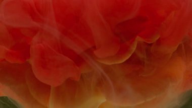 Duman damlası. Çiçek mürekkebi. Odaklanmamış kırmızı renk gül rengi sıvı çiçek tohumu soyut sanat üzerine bitki yaprağı koyu siyah arkaplan.