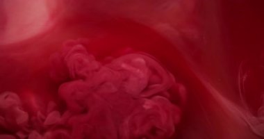 Soyut sis. Mürekkep at. Yaratıcı sanat arka planında yüzen kimyasal suda odaklanmış kırmızı, pembe, bulut rengi boya dokusu.