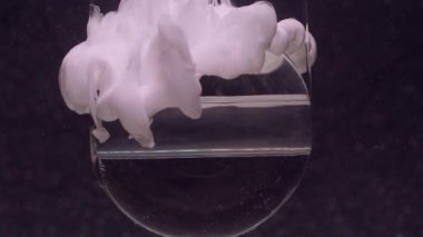 Top mürekkebi. Sıçrama akışı. Odaklanmamış beyaz renk bulut dokusu şeffaf yuvarlak baloncuk soyut sanat koyu siyah arkaplan üzerinde yüzüyor.