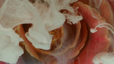 Çiçekli mürekkep dokusu. Gül goncası. Odaklanmamış beyaz mavi renkli çiçek yaprakları duman dalgası soyut sanat arkaplanı.