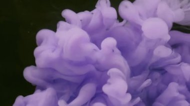 Sis sıvısı. Boya yayılmış. Violet Puse Puff akıntısı, siyah arka plana sıçrıyor. Odaklanmamış sanat eseri soyut akış boya şişirme çekimi.