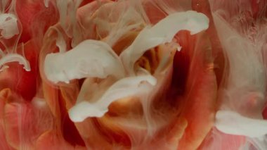 Duman boyası sıçraması. Çiçek arkaplan. Odaklanmamış kırmızı beyaz renkli su mürekkep dokusu soyut ışıldayan sanat üzerine gül suyu damlası..