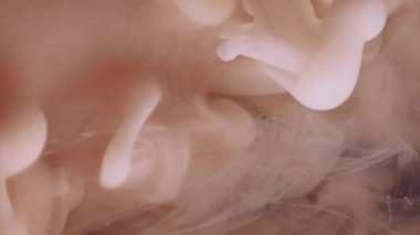Sis dalgası. Duman karışımı. Bej rengi kahverengi girdap dumanı suya mürekkep damlatıyor. Mistik sıvı bulut esintisi soyut odaklanmış arkaplanı sıçratır.
