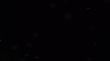 Göz kamaştırıcı çizgiler. Lazer ışınları. Beyaz renk, ışıl ışıl parlayan, ışıl ışıl ışık, soyut, karanlık arka planda hareket ediyor..