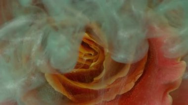 Boya sıçraması. Çiçek bırak. Su dumanındaki mavi turuncu yapraklar soyut sanat arka planına yayılan mürekkep bulutu doğa akışı.