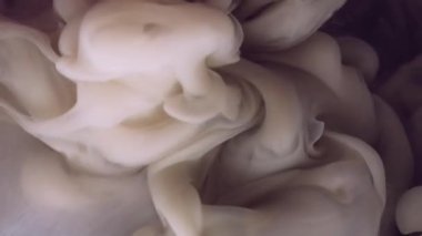 Grunge dumanı. Boyayla boyanmış. Beyaz sualtı mürekkep akıntısı gri siyah bulanık mistik sıvıda yüzüyor. Sanat dokusu soyut renk sıvı arkaplanı.