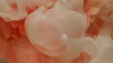 Sis sıvısı. Boya çiçeği. Odaklanmamış pembe beyaz gül yaprakları mürekkep suyu koyu siyah soyut sanat arka planına doğa dokusu sıçratır.