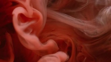 Dalga sisi. Duman mürekkebi. Kırmızı turuncu peçeli sıvı boya su fantezi dokusunu karıştırır. Soyut zerafet akışı sıvı boya dumanı bulanık siyah arkaplan.