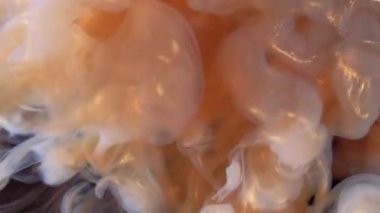 Parıldayan sis. Parıltı spreyi. Siyah arka planda altın bej rengi parlak bir sis patlaması. Tuhaf sanat dalgası dokusu soyut arkaplan.