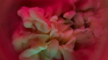 Boya patlamış. Duman spreyi. Sarı puf lekesi pembe mor kırmızı sanat sıvısı girdabına dökülmüş. Renkli fantezi fırtınası soyut arkaplan.