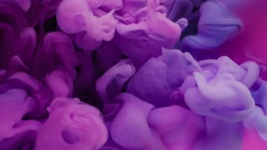 Haze bulutu. Sanat sıvısı. Renkli suda mor pembe neon boya patlaması. Soyut duman sıçraması yansıma reaksiyonu dağılmış arka plan.