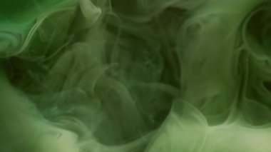 Kara buhar. Sis boyası. Siyah arka planda yüzen yeşil grunge sis peçesi. Renk bulutu derin gizemli su soyut sihirli bulanık duman.