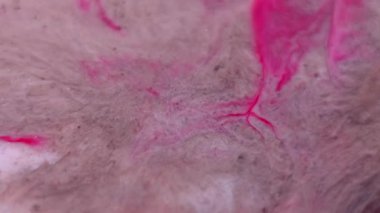 Akrilik pigment. Akışkan sanat. Odaklanmamış pembe renk kirli dalgalanma dokusu soyut arkaplana yayılan su sıçramasına boya damlatıyor.