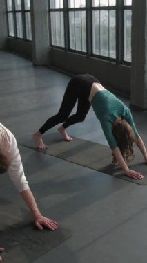 Dikey video. Pilates sporu. Yoga asana. Grup üyeleri denge egzersizi yapıyor. Köpek pozu veriyor. Spor salonundaki paspasın üzerinde kadın fitness hocasıyla kas esneme dersi veriyor..