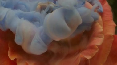 Sis tesisi. Su açar. Odaklanmamış mavi turuncu renkli sıvı boya doğa çiçekli doku soyut koyu siyah arkaplan üzerinde yüzüyor..