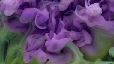 Duman karışımı. Boya bulutu. Suyun siyah arka planında renk akışı spreyi. Bulanık sis yüzeyine mor yeşil peçe boyası dökülmüş..