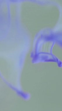 Dikey video. Çok renkli duman. Su altı patlaması. Işıl ışıl su. Açık mor ve leylak renkleri modern beyaz sanatın soyut arka planına düşen akışı serpiyor.