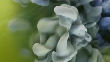 Bulut karışımı. Pigment akışı. Mavi gri akış karışımı ve yeşil duvak boyası fantezi arka planı. Soyut su, odaklanmış sanat şişirme dokusu.