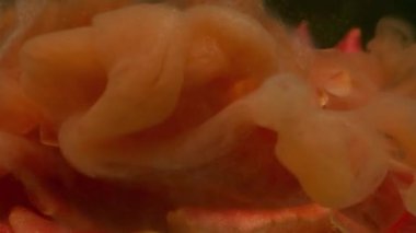 Duman damlası. Çiçek sanatı. Odaklanamayan kırmızı gül yaprakları sıvı su bulutu soyut koyu siyah arkaplan üzerine sıçrıyor..