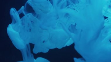 Sis mürekkebi sıvısı. Islak arka plan. Odaklanamayan mavi renk su bulutu sıvı kimyasal doku soyut yaratıcı kara sanat üzerinde yüzüyor..