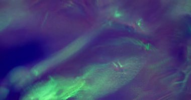 Renkli sızıntı bulanıklığı. Prizma ışığı parlıyor. Parıldayan kırılma folyo gecesinin ışıltılı arka planı. Floresan parlaklık gece hayatı örtüşüyor.