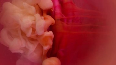 Dikey video. Mistik duman. Su altı yaprakları. Çiçek tomurcuğuna renkli sprey mürekkebi karıştır. Haze gül doğal bulanık lens kırmızı turuncu soyut arkaplan suyu.