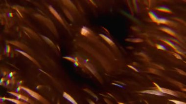 Yansıma parıltısı. Bulanık ışık. Soyut sanat arka planında çözünmüş bronz sarısı mavi renkli spektrum kıvılcım saçar..