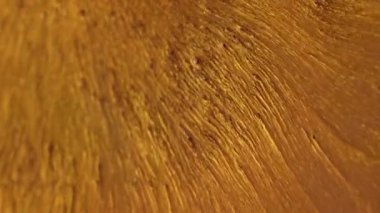 Parıltı yayılıyor. Lüks boya. Altın akımlarda değerli sıvı toz, sanat yüzey parçacıkları. Soyut pembe fantezi ışınları siyah arkaplanı çözdü.