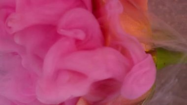 Dikey video. Dalga sisi. Gül çiçeği. Şeffaf sıvıda yayılan garip pembe mürekkep. Sanat sıvısı doğayı bulanıklaştırır soyut gri arkaplan parıldayan yüzey.