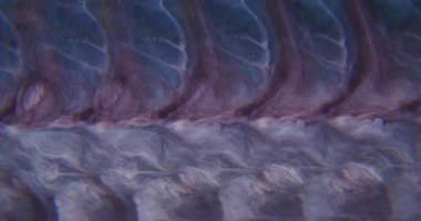 Mercek sıvısı. Parıltı karışımı bulanık. Mistik ışıldayan sıvı gri siyah boya akışı. Odaklanmamış fraktal renk soyut arkaplan.