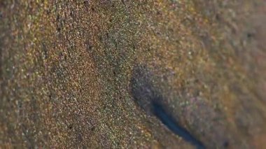 Mürekkep sıçraması. Parıltı patlaması. Gri altın sarısı grunge emülsiyon akışı garip bir şekilde sanat suyu dokusu parçacıklar soyut arkaplanı bulanıklaştırıyor.