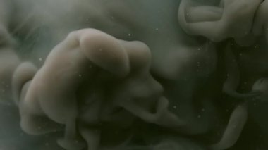 Buhar egzozu. Fış sanatı. Bulanık sisli mor patlama sıvıdaki sıvı mürekkep dokusu soyut koyu siyah arkaplanda yüzüyor..