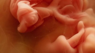 Parıltı buharı. Soyut akış. Su boyasında çözünmüş pembe renkli sıvı mürekkep sanat arka planında bulutsal ruhani doku sıçratıyor..