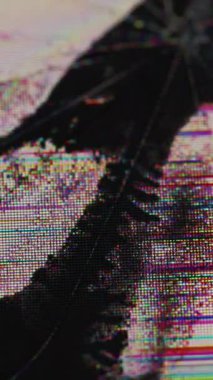 Dikey video. Yayın hasarı. Parçalanmış ekran. Matris arızası çatlak çatırtı deformasyon yüzeyi ve ölü siyah bölge pikselleri. Kötü kalite kanal dijital gürültü üstüste.