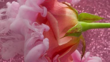 Dikey video. Sanat buharı. Gül dumanı. Pembe duvak rengi bulanık boya çiçeğin üzerine düşüyor. Doğa yaprağı parıldayan bulanık arka plan. Su pigmentlerini yayıyor..