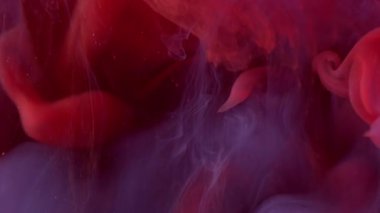 Mürekkep lekesi. Sanat akışı. Kırmızı mor sisli sıvı ve küçük parçacıklar. Pürüzsüz duvak boya pigmentini karıştırın. Odaklanmış su boyası soyut arkaplan.